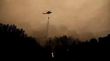 Ascendieron a 15 los muertos por los incendios forestales en Chile