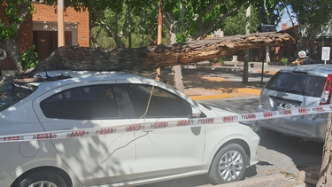El Zonda está provocando algunos destrozos a su paso por San Juan.