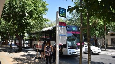 Red Tulum: en un mes esperan tener GPS en la app para rastrear a los colectivos