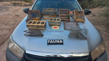 Operativo en Sarmiento: secuestran aves capturadas por cazadores furtivos