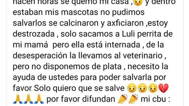 En un incendio, una familia perdió a sus mascotas: sólo rescataron a una y necesitan ayuda para salvarla