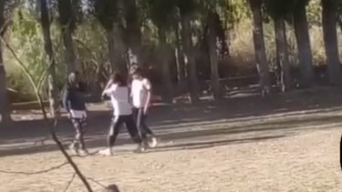 Video: preocupación en una escuela de 9 de Julio por las trompadas entre alumnas