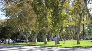 Así estará el tiempo este domingo: ¿más que agradable?