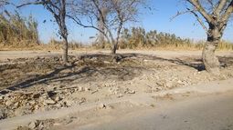 Avanza el plan para usar los terrenos donde erradicaron la villa más grande de San Juan