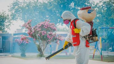 Santa Lucía reforzó los operativos sanitarios para combatir el dengue