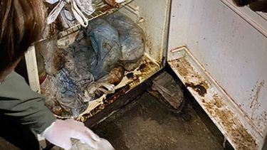 Lo que hallaron en la heladera de la mujer de Santa Lucía sorprendió a la Policía. Los restos de carne serán analizados para saber de dónde provienen.