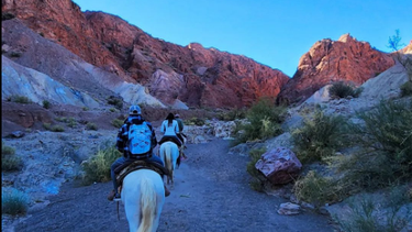 Turistas en Calingasta. (Imagen Facebook HuellasVlog)
