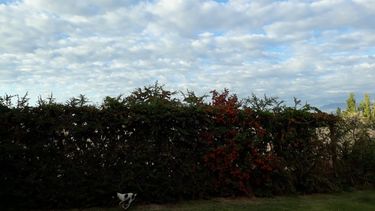 Domingo cálido, con nubes y mucha onda para matear por ahí