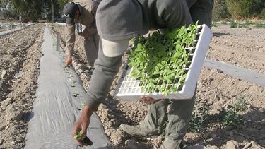 Se viene el INTA Valor Agregado