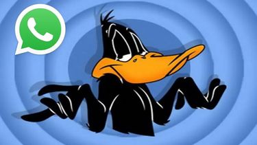 WhatsApp activó el modo Pato Lucas: de qué se trata
