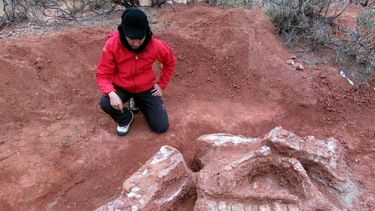 Iniciaron la expropiación de la zona donde se halló el dinosaurio más famoso de San Juan