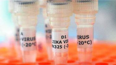 Salud desmintió a la Nación por probables casos de zika en estudio