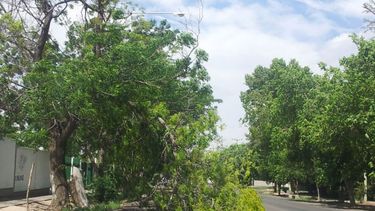 El Zonda fue menos grave de lo que se esperaba