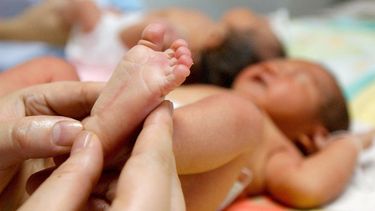 Preocupación por los casos en ascenso de sífilis congénita en San Juan