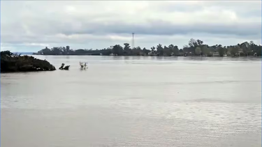 En Salto ya diseñan un plan pensando en los desplazados por la creciente del Río Uruguay.
