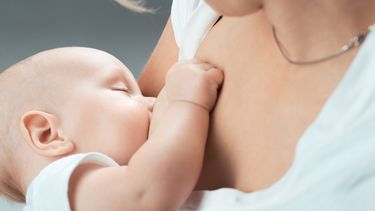 Cómo se implementará el programa que inicia con 4.000 embarazadas
