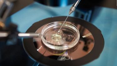 Mirá todos los tratamientos de fertilidad que se hacen gratis en San Juan