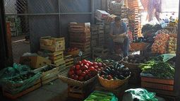 Los chacareros piden un camión, un tractor y mejoras