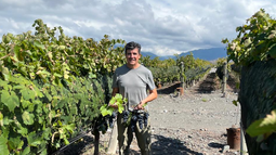 La estimación de cosecha de uvas del INV en San Juan fue un acierto. En la foto, Hugo Carmona, uno de los referentes históricos del relevamiento, que justamente ahora se jubila. La estimación de cosecha de uvas del INV en San Juan fue un acierto. En la foto, Hugo Carmona, uno de los referentes históricos del relevamiento, que justamente ahora se jubila.