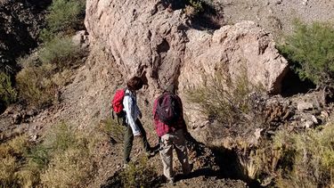 Hallaron fósiles de invertebrados marinos y plantas costeras en La Rinconada, Pocito.