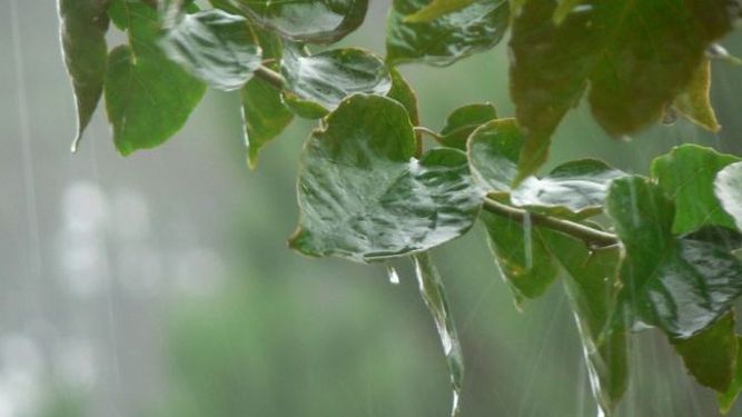El 2014 se va despidiendo con casi 40º y posibles lluvias