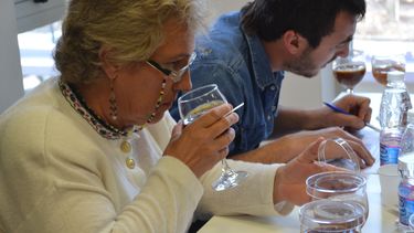 Mieles sanjuaninas, ganadoras de un concurso de la región de Nuevo Cuyo