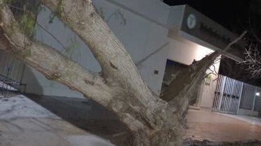 Los daños que dejó el Viento Zonda en San Juan y la asistencia social.