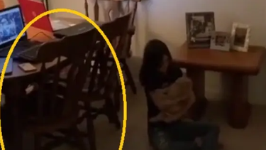 Escalofriante video: jugaba con su gato y de repente... ¡mirá la silla!