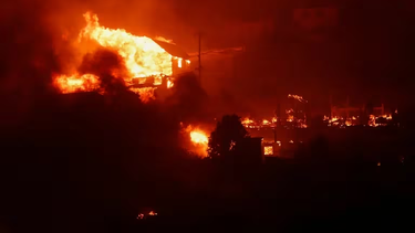 Los incendios forestales en Chile ya se han cobrado 19 vidas.