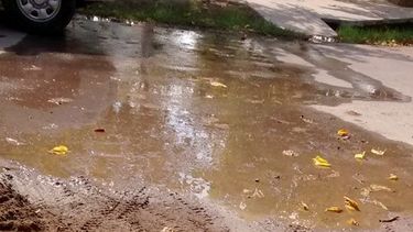 Lectores denuncian pérdidas de agua por un caño roto