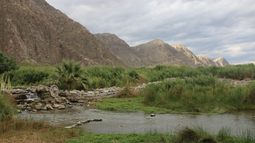 Agua Negra, el oasis jachallero más elegido por los sanjuaninos