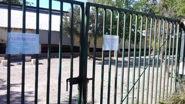 Un enjambre de moscas: clausuraron una granja en Rawson