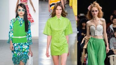 El color del 2017 según Pantone es el verde esperanza