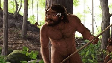 Un fósil de más de un millón de años reconfigura la historia de la evolución humana