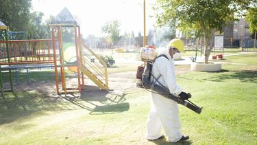 Santa Lucía puso en marcha un operativo para combatir el dengue