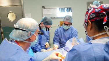 Salud Pública incorporará 700 nuevo cargos