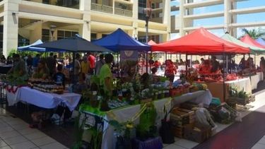 Vuelve la Feria Agroproductiva de San Juan, con productos frescos y sabor local