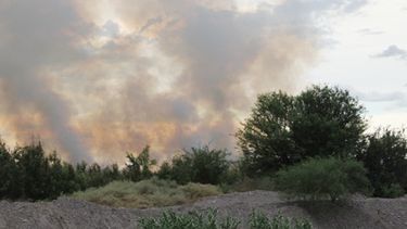 Bomberos, saturados: Incendios, árboles caídos y voladuras de techos