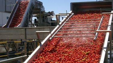 Confirmado: la planta procesadora de tomates de San Juan será en el Parque Industrial de 9 de Julio