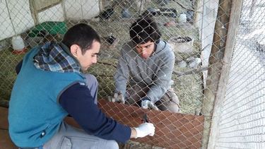 El Parque Faunístico, como área externa de formación universitaria