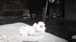 Juez de Menores dijo que no estaba al tanto de la situación familiar del niño que murió en un incendio