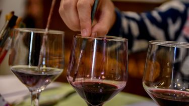 La Ruta del Vino y del Olivo, una de las opciones más elegida por los turistas