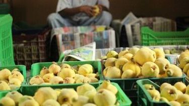 Parque Industrial Jáchal: avanzan dos plantas para membrillos y semillas