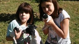 ¡Manda a Tiempo de San Juan una foto con tu mascota!