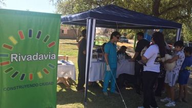 Campaña de salud: cien animales vacunados