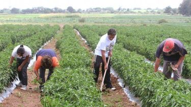 Si sos productor, aprovechá este curso de computación