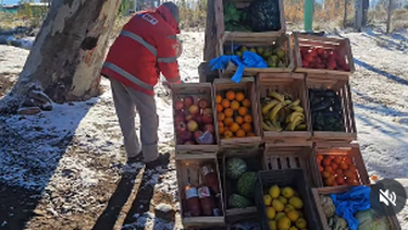 Don Pucho, el verdulero jachallero que es viral por trabajar afuera con -7°