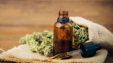 Cannabis medicinal: unos 400 sanjuaninos usan este tratamiento alternativo