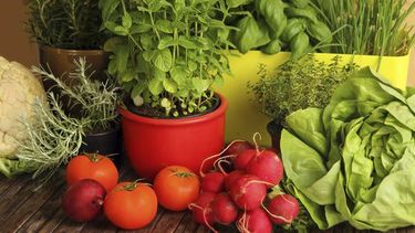 Cómo armar una huerta orgánica en patios, terrazas y balcones