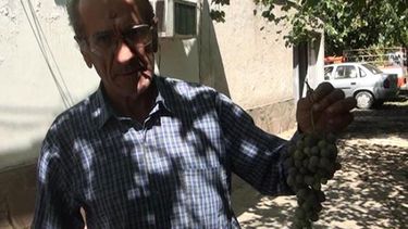 Médano de Oro, Pocito y Caucete fueron los más afectados por el granizo